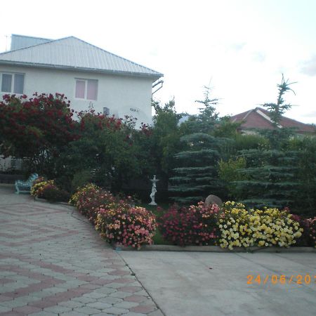 Prestige Guest House โชลปอน-อาตา ภายนอก รูปภาพ